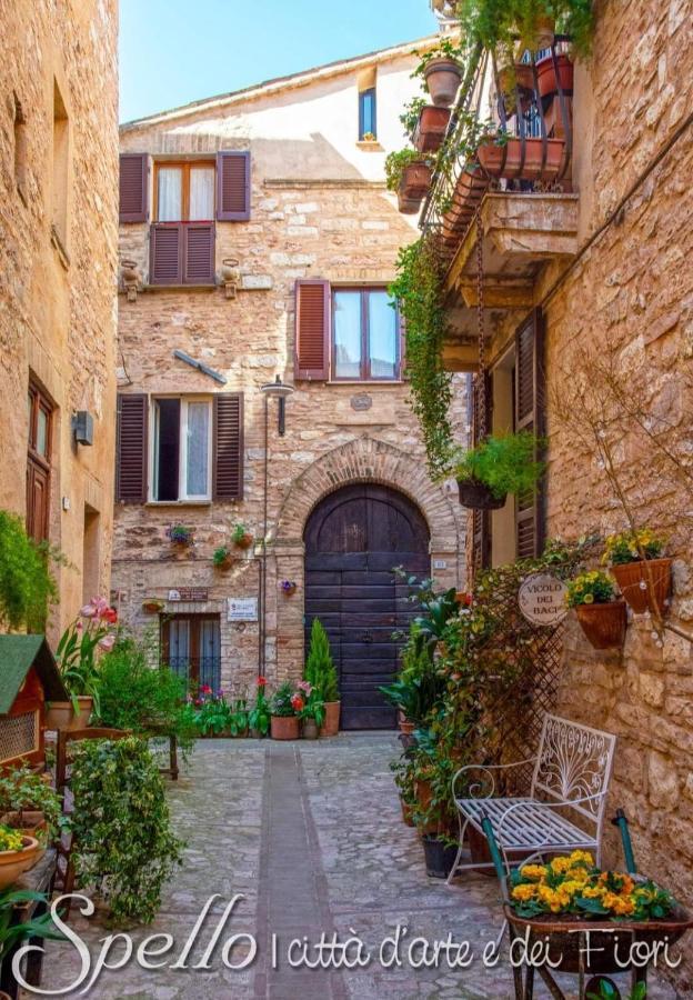 Ferienwohnung Nel Vicolo Dei Baci - Casa Vacanze Al Bacio Spello Exterior foto